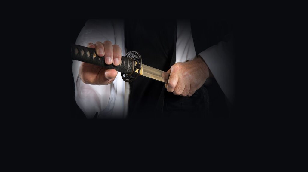 Shihan Dana Abbot Drawing the Japanese Sword